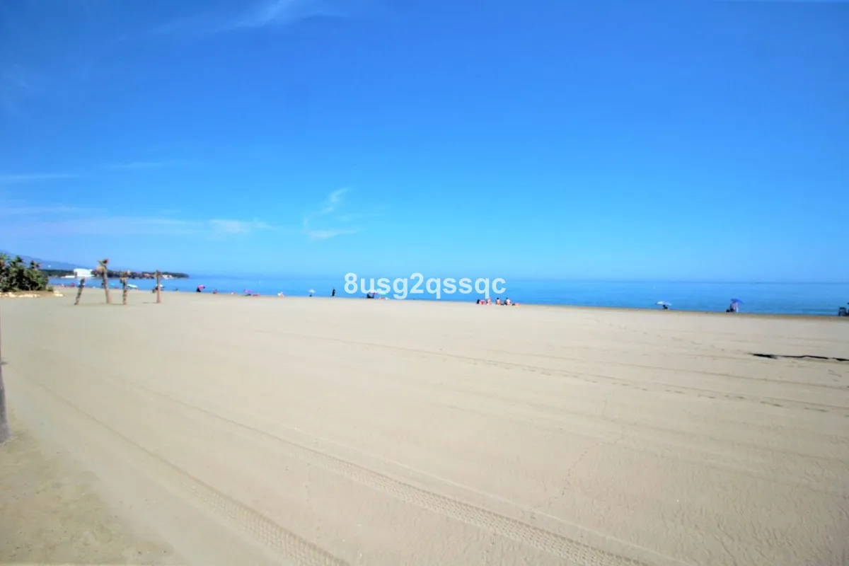 3418569d-a31f-46c0-8966-1641d11b7ab2