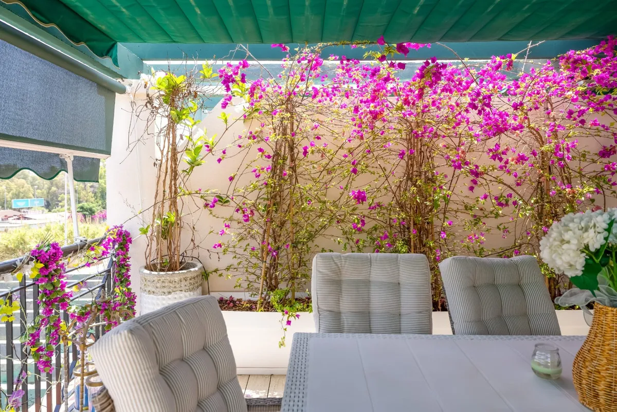 4ddd5860-b27d-438a-8023-8146aa14ab2a