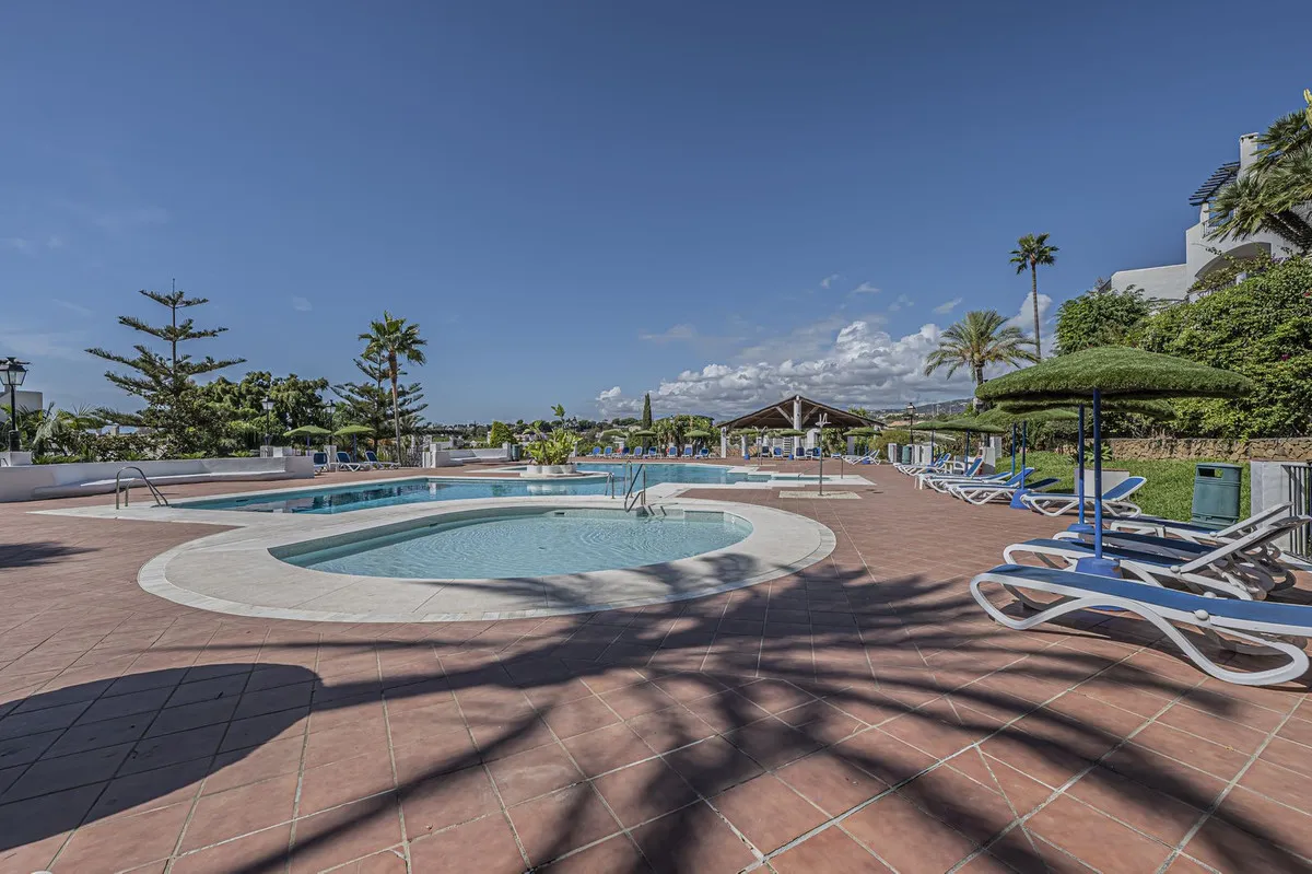 558f0678-8f9e-4c18-ae90-ef1b9e226478