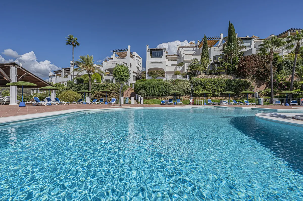 5dcd2d7a-265b-4a86-b76d-a588a6406f4e