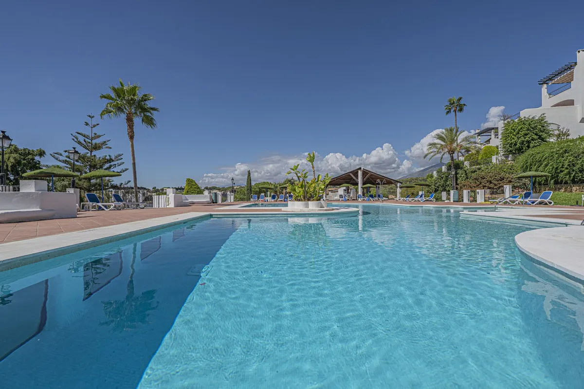 8c79d654-251a-4004-96d2-fd123c5377d8