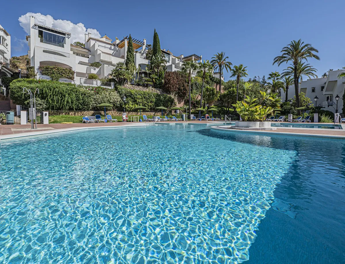 b46d4498-2c40-466d-a3ee-2e96bc5868d6