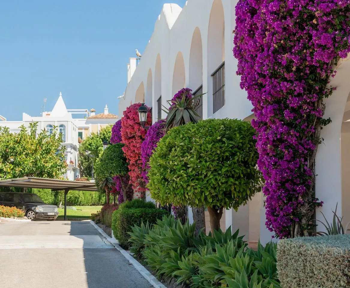 ef16390b-cfa0-4f8e-b795-1c022011a941