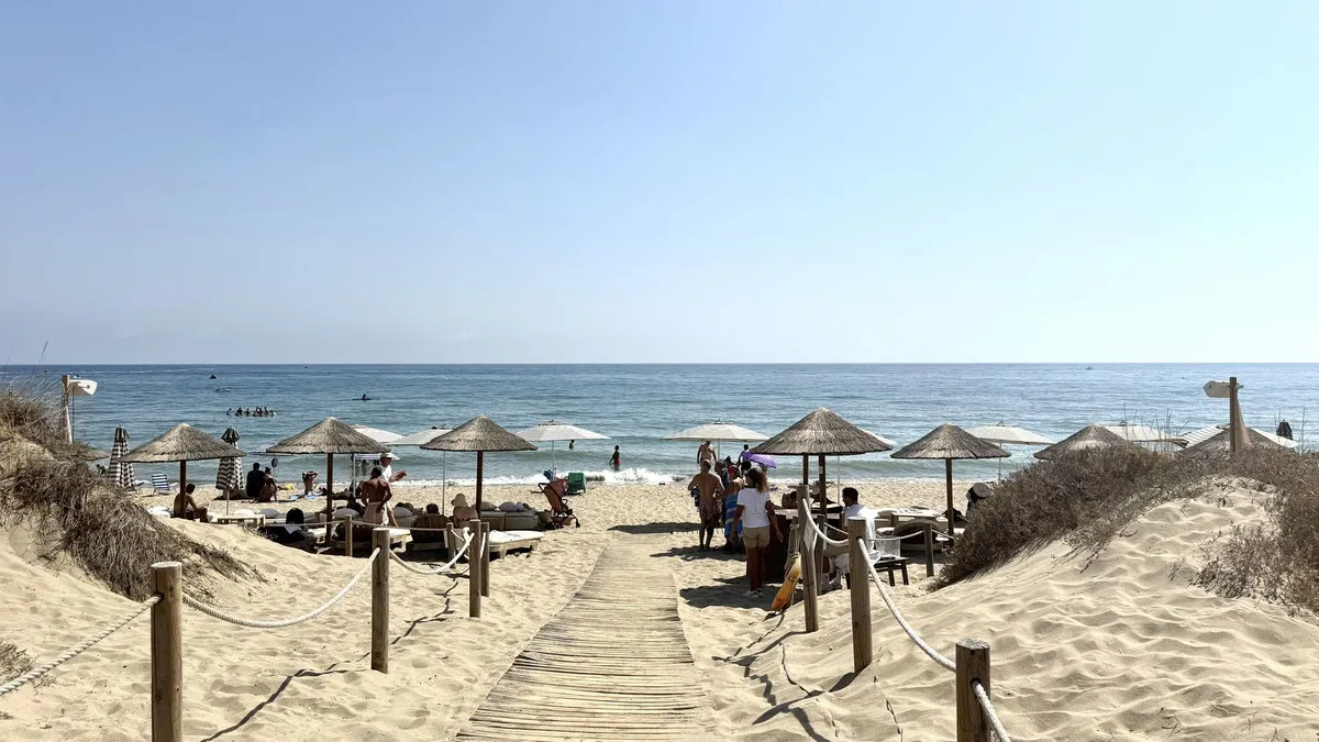 8c6e254a-888f-440c-a8a0-892aa3b8686d