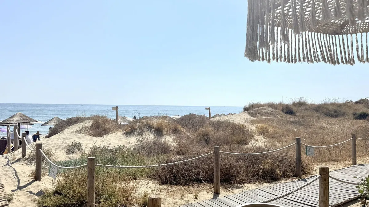 93137b88-0544-427a-bff3-cb65c3f6ecf2