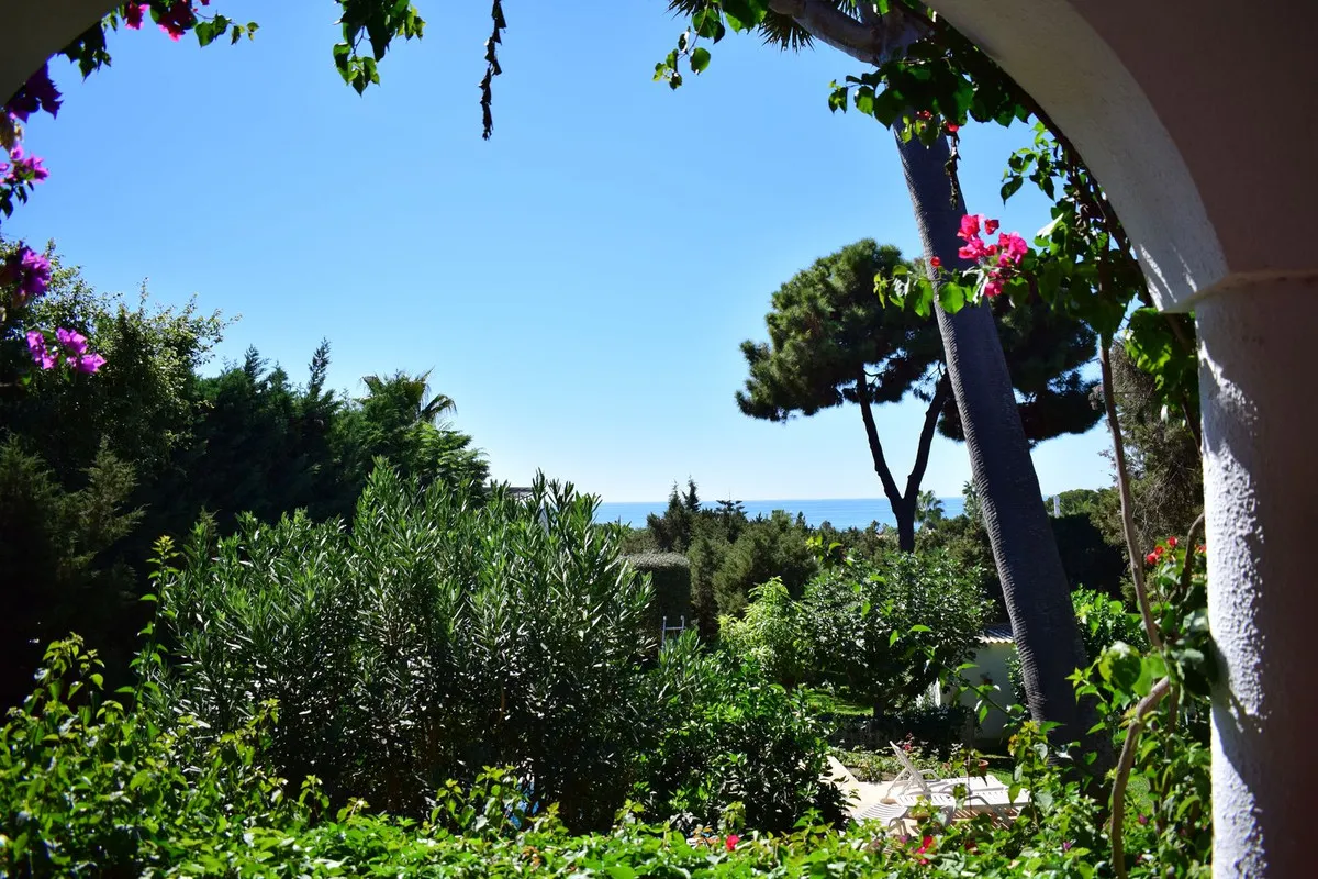 4911acaa-12a5-4533-acf6-00abca852ec4