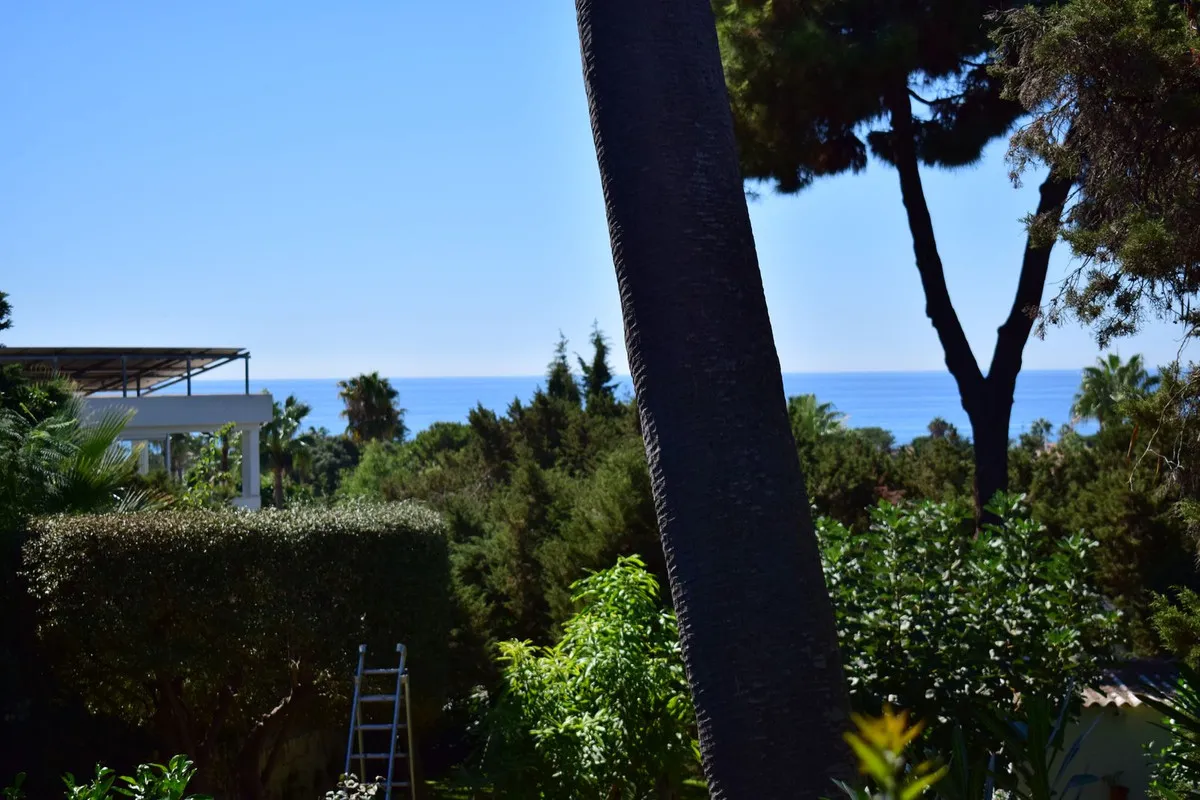 d88cfb66-8e9e-4706-a312-3056acdd7fea