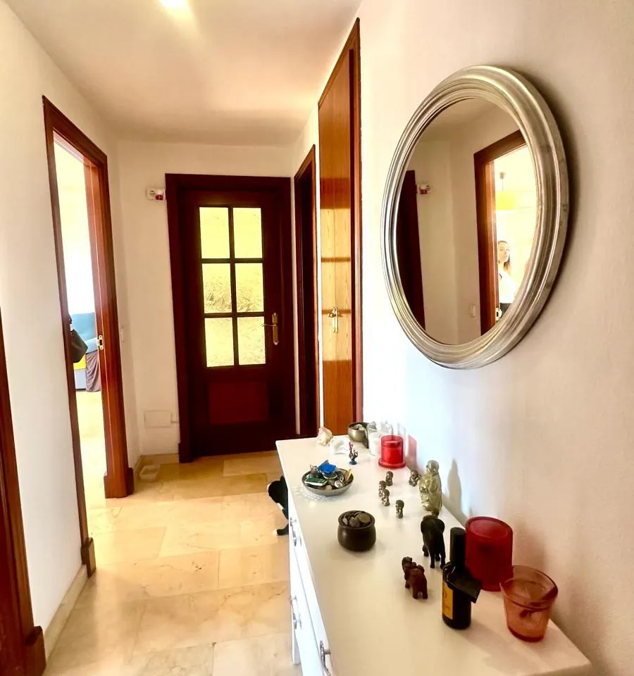 282b26b1-7ab6-4f25-a106-e66486265e25