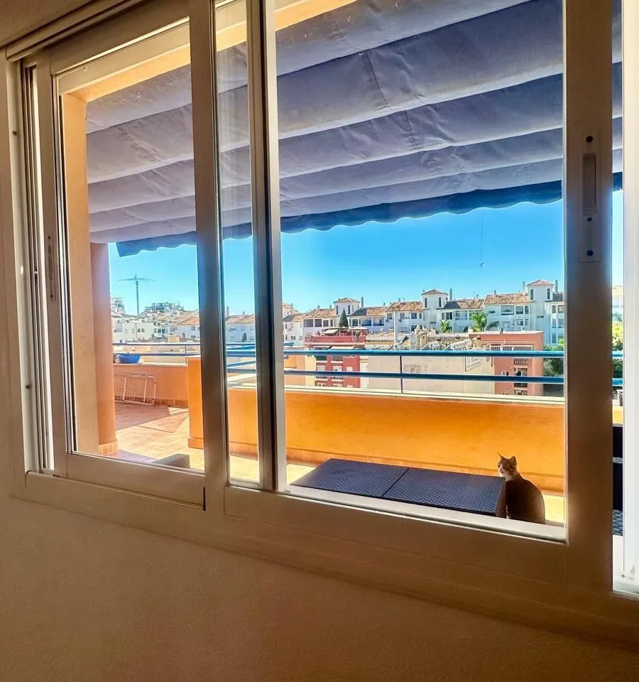 d6b3bacb-dcea-46e5-87cb-7cc8b225ccc7