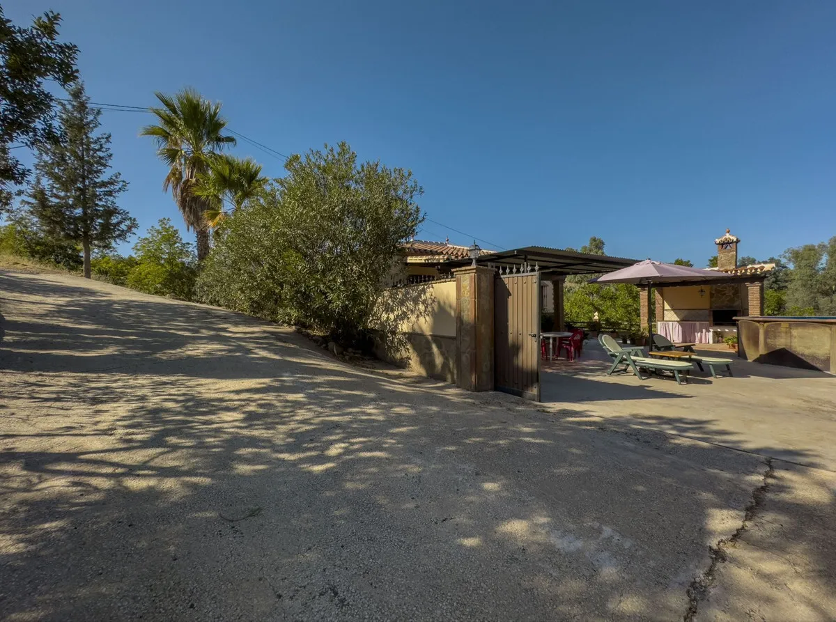 1f50323d-ccdf-4a75-9593-dad9bc566498