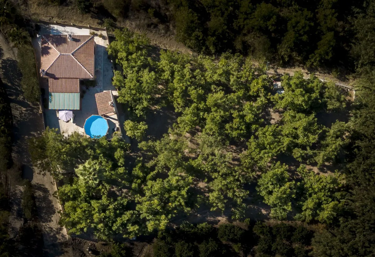 8228bfce-48d7-436c-9aa6-7913300a89a6