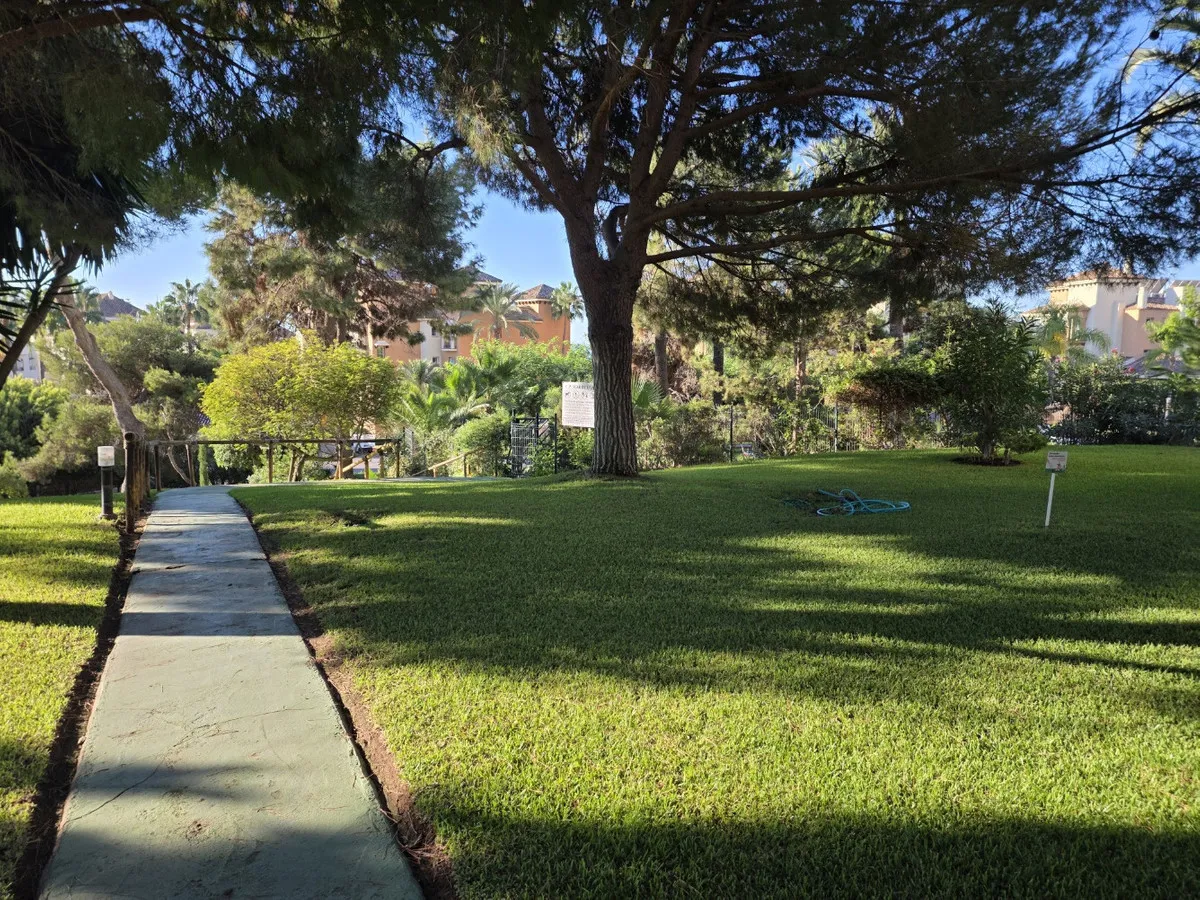 d187276d-4c98-43de-8bb2-b662bca257e7