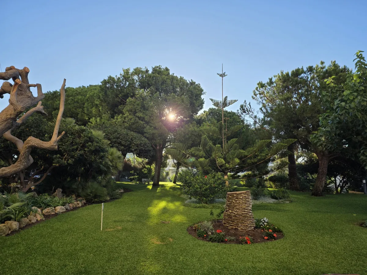 fe996736-75f1-41b1-86e8-50a0c2a0def8