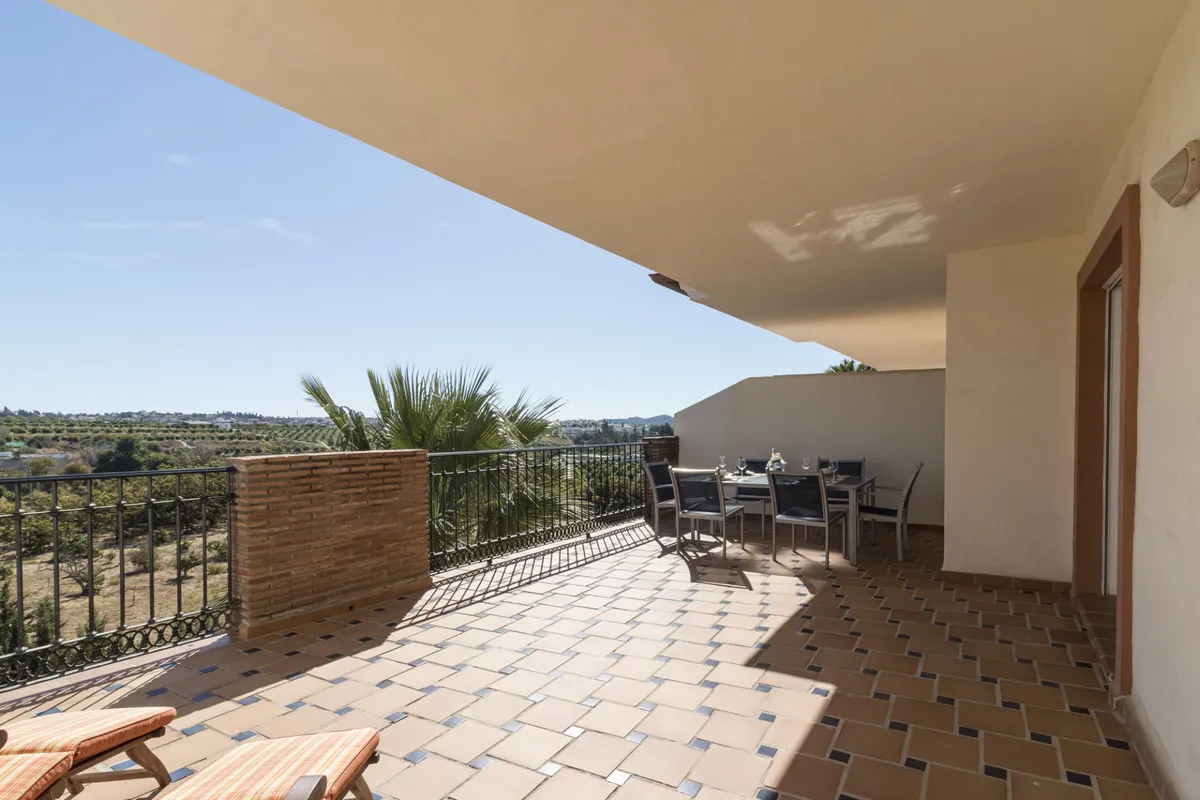 d4ed154e-38df-467e-a9d1-4719893cdf49