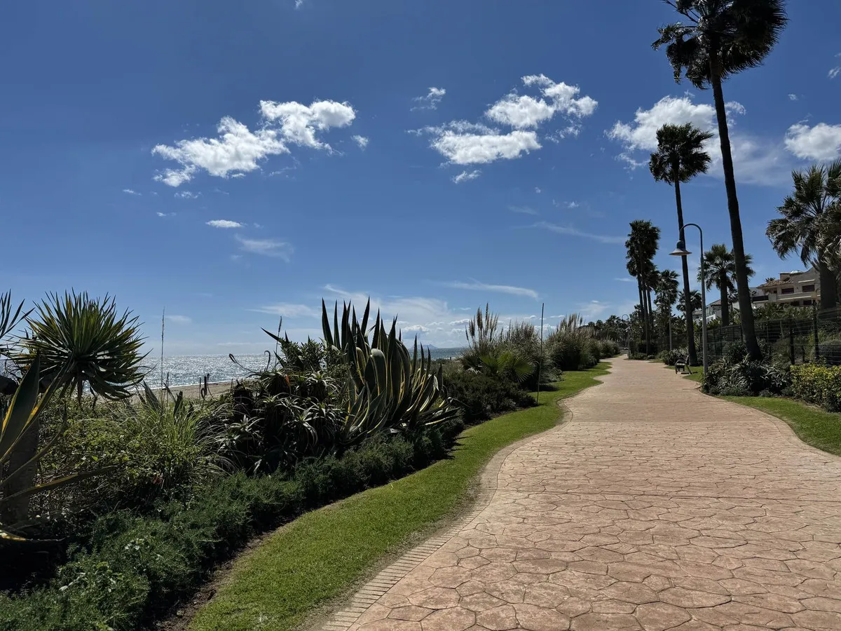 47193087-689d-4aa7-a5e9-421a77b0a9a7