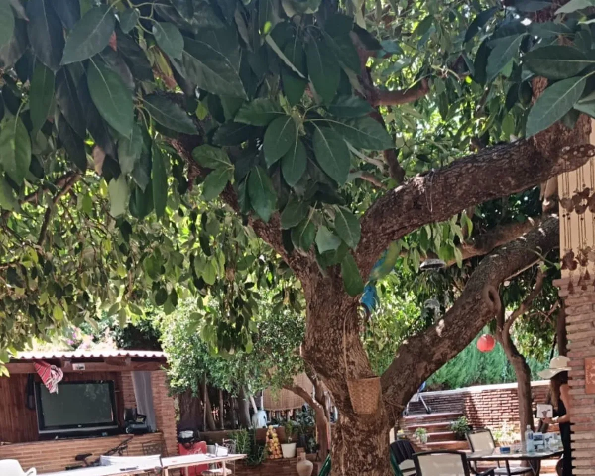 45a4cbef-0338-49ac-aa81-e6672c7a0cb5