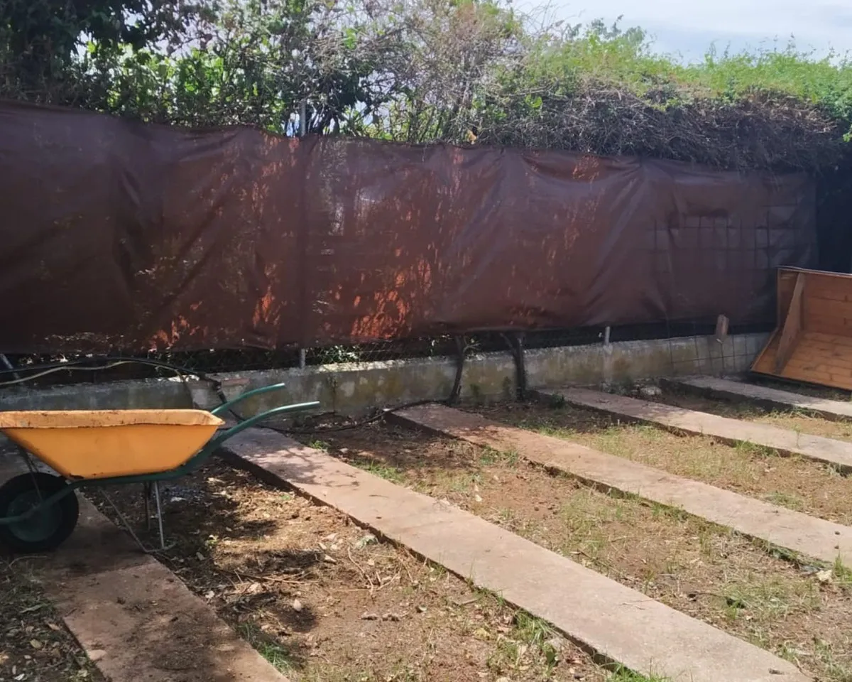 887f03a9-a09f-41e4-a856-dfde760c4794