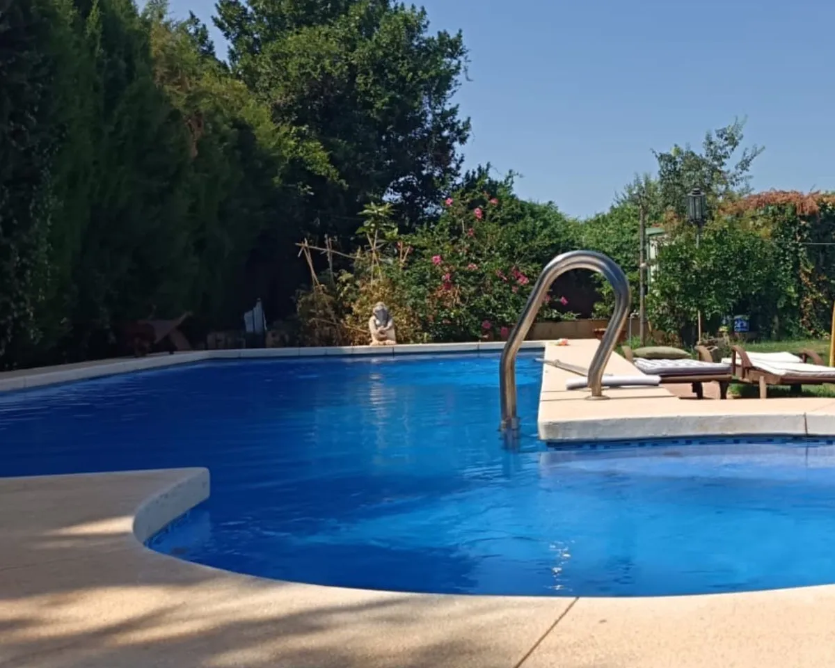 be554981-4cad-417f-a067-895cefa8c20b