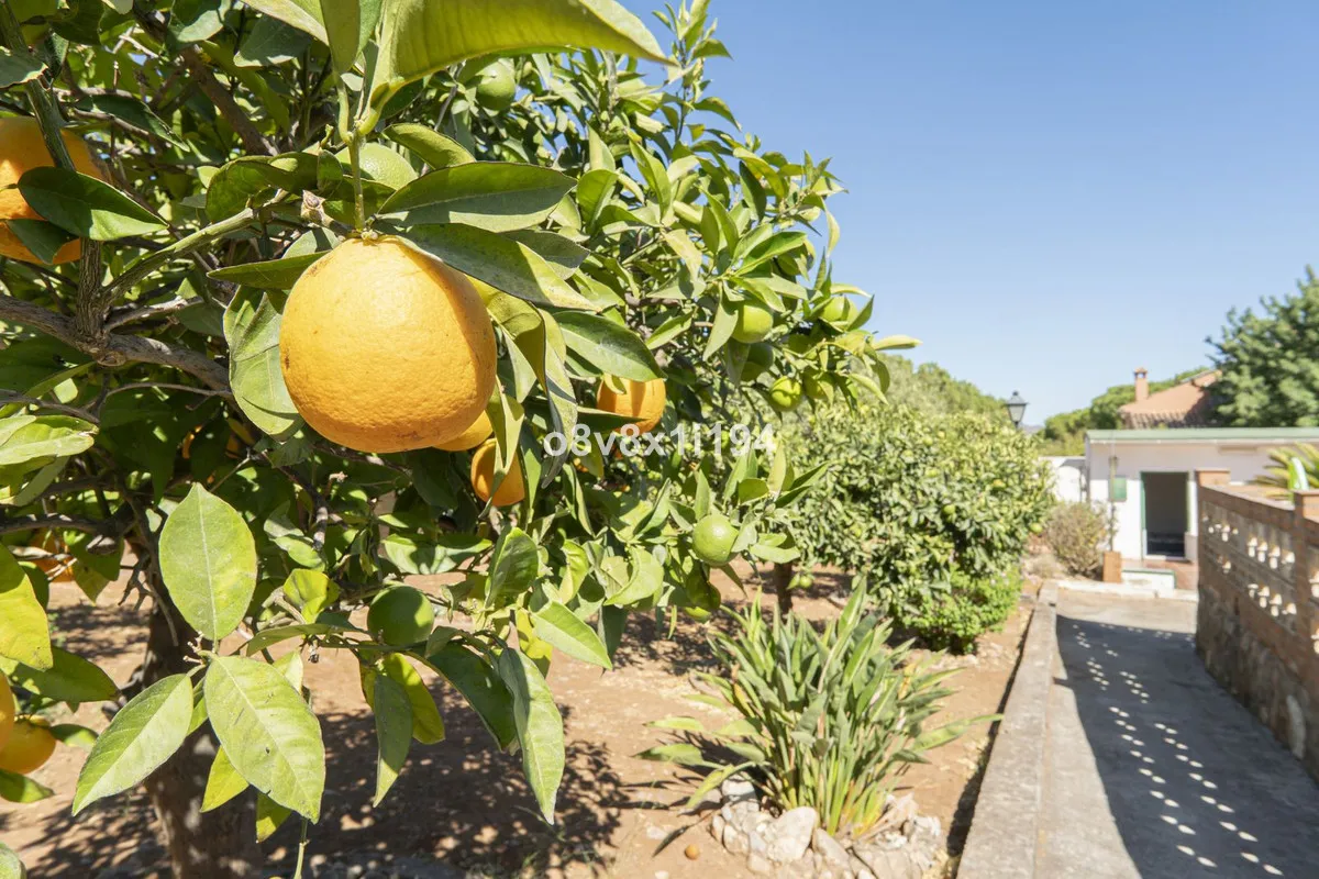 4a309480-6499-417b-b40d-cefd471561ff