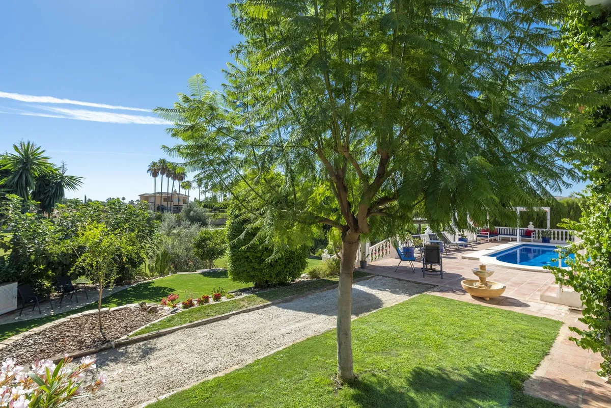 96ab6572-4d7e-4656-bc2c-83079083498b