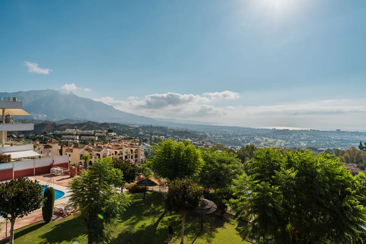 3cc78025-595e-49bf-8f67-fa8136a8cfb9