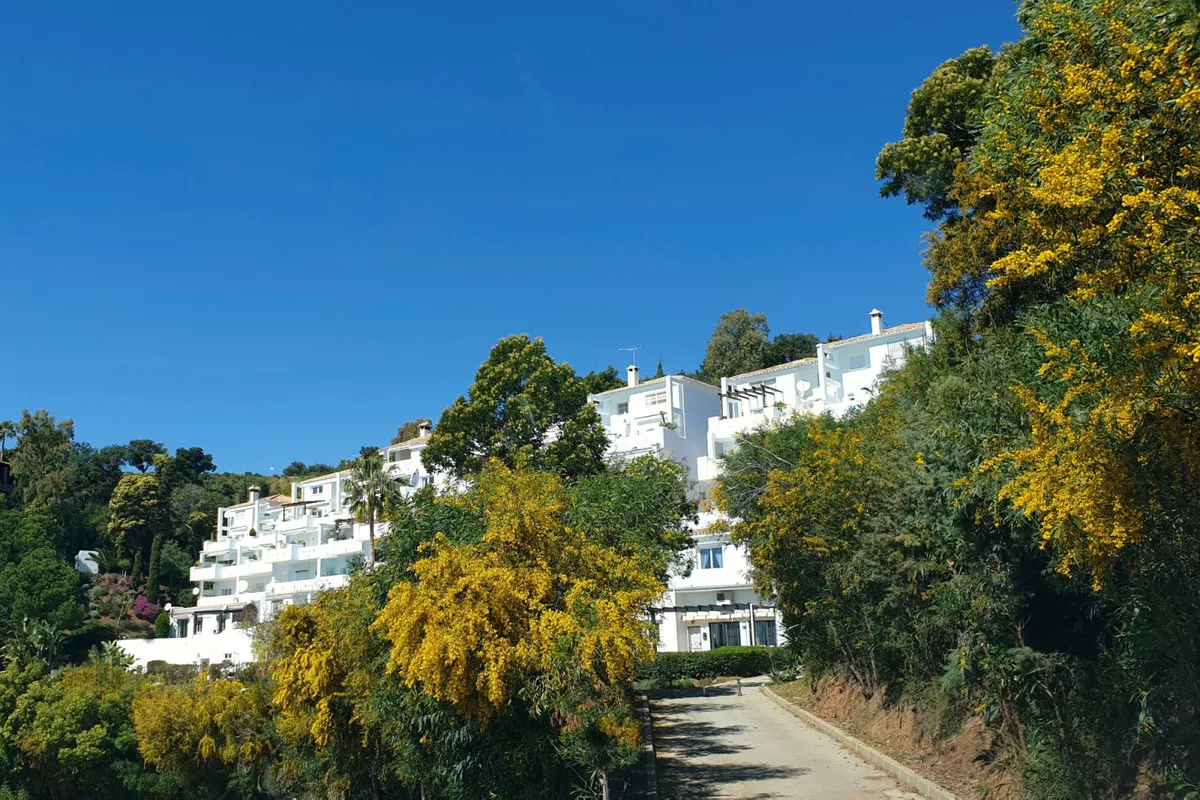 06954d25-0927-46b8-a4ac-5701f8216e72