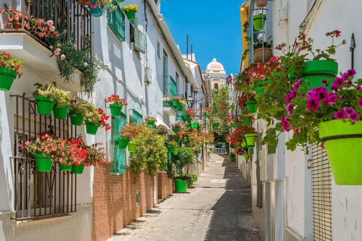 1ede5f9d-2e29-46cf-9398-bc938335baf8