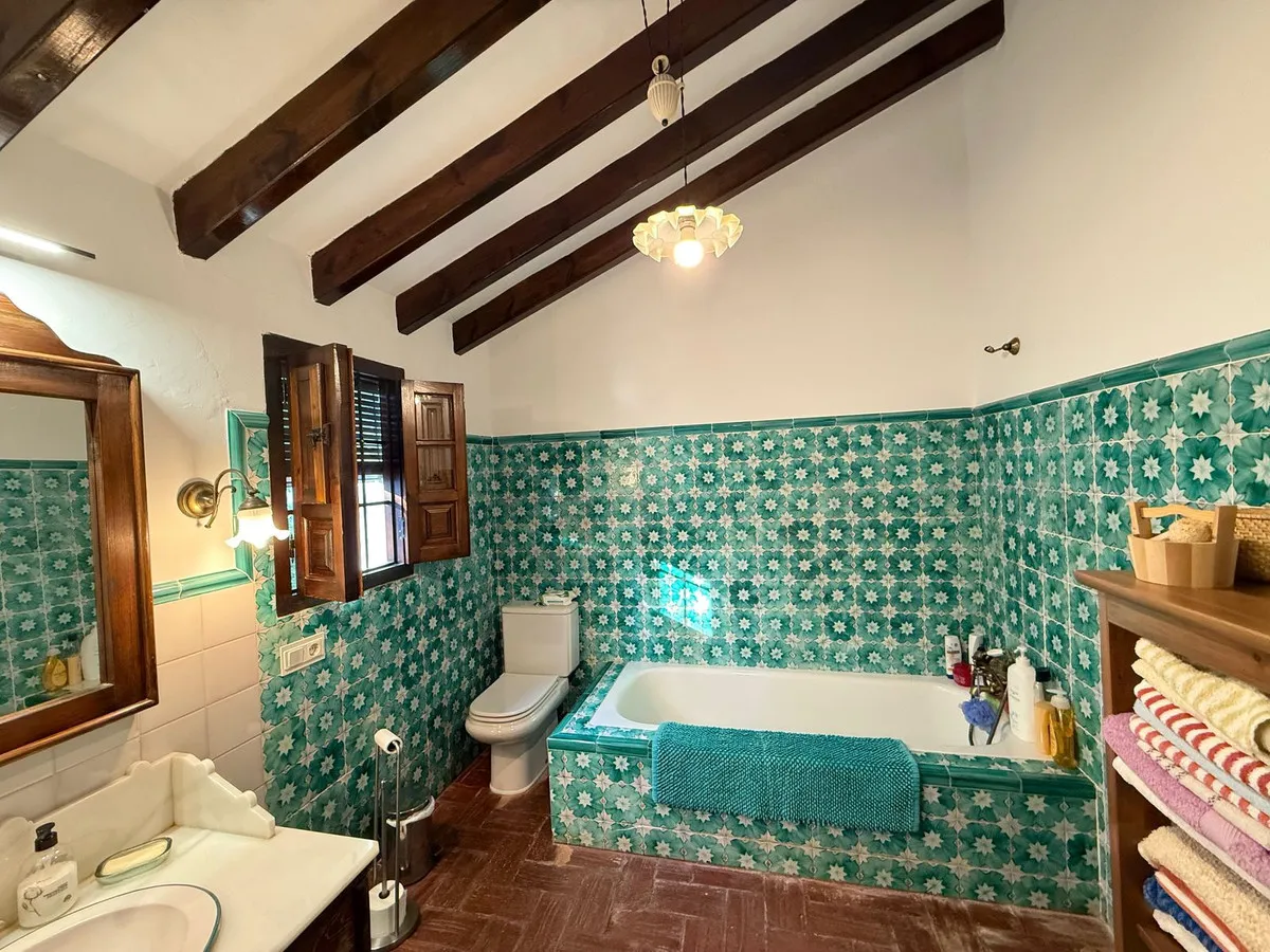 c5580113-0040-4dbf-873d-d8a94c48edf6