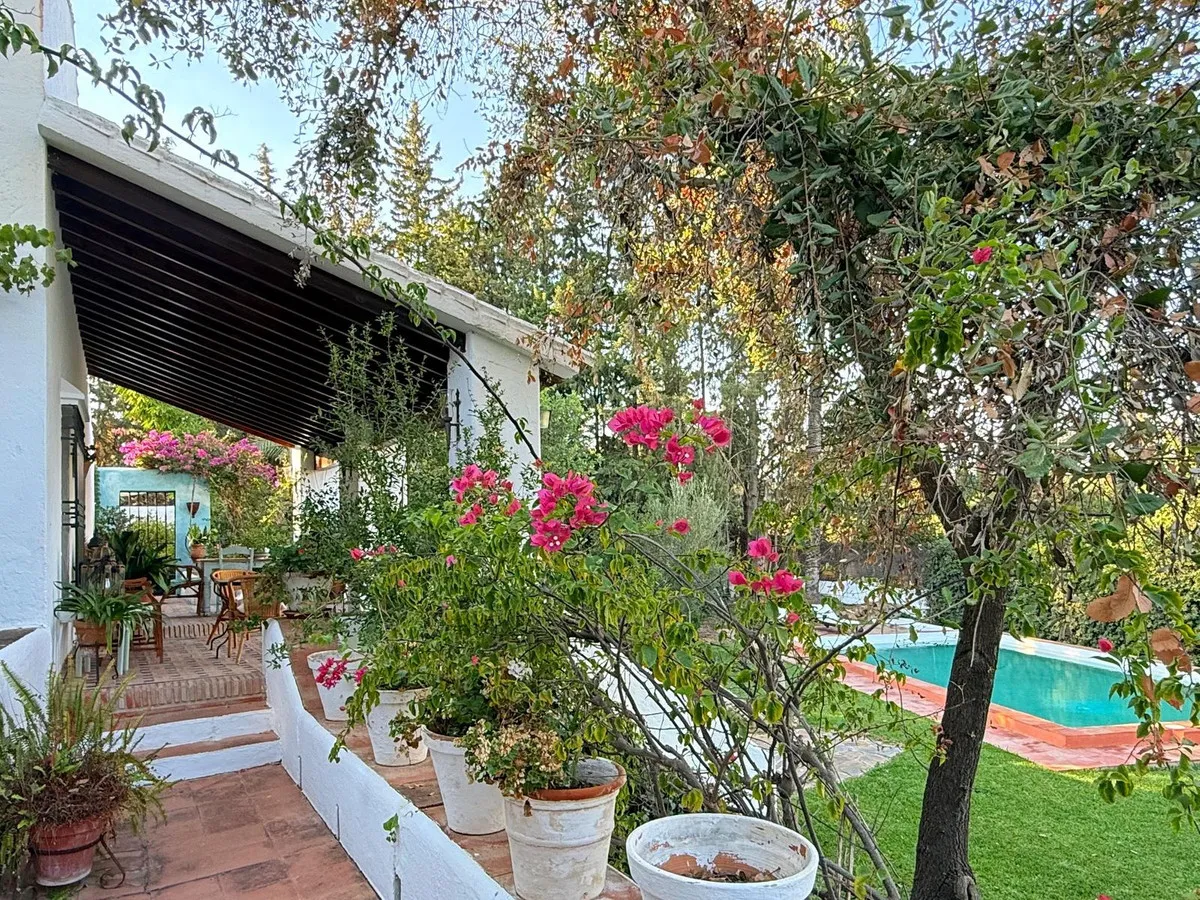 eac0a87b-ad7a-4655-9226-d55250081b85