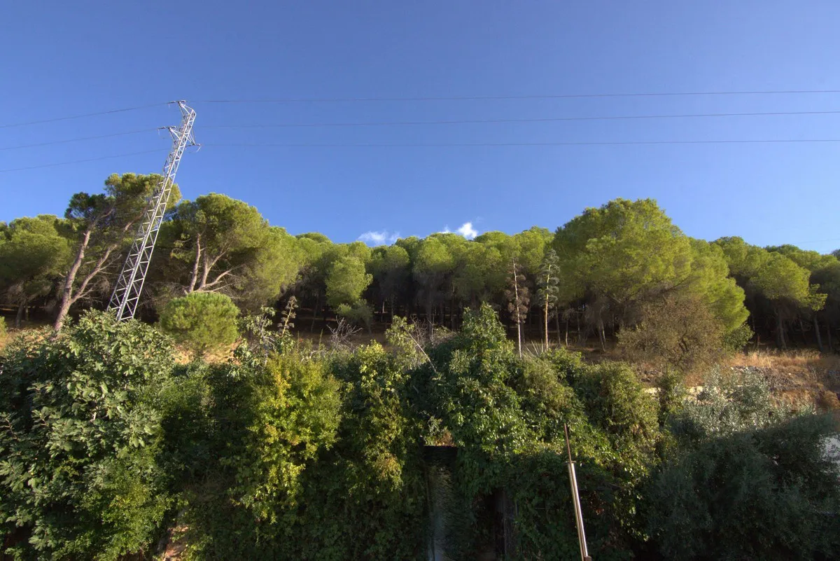 2d9786ce-c792-44a9-9fe0-748097714b71