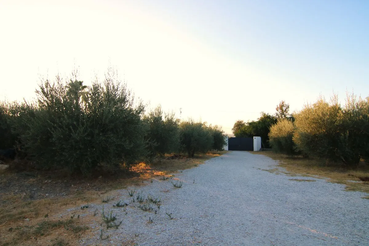 5199e69e-c9d4-4c9d-bbca-190fd9a1a61d