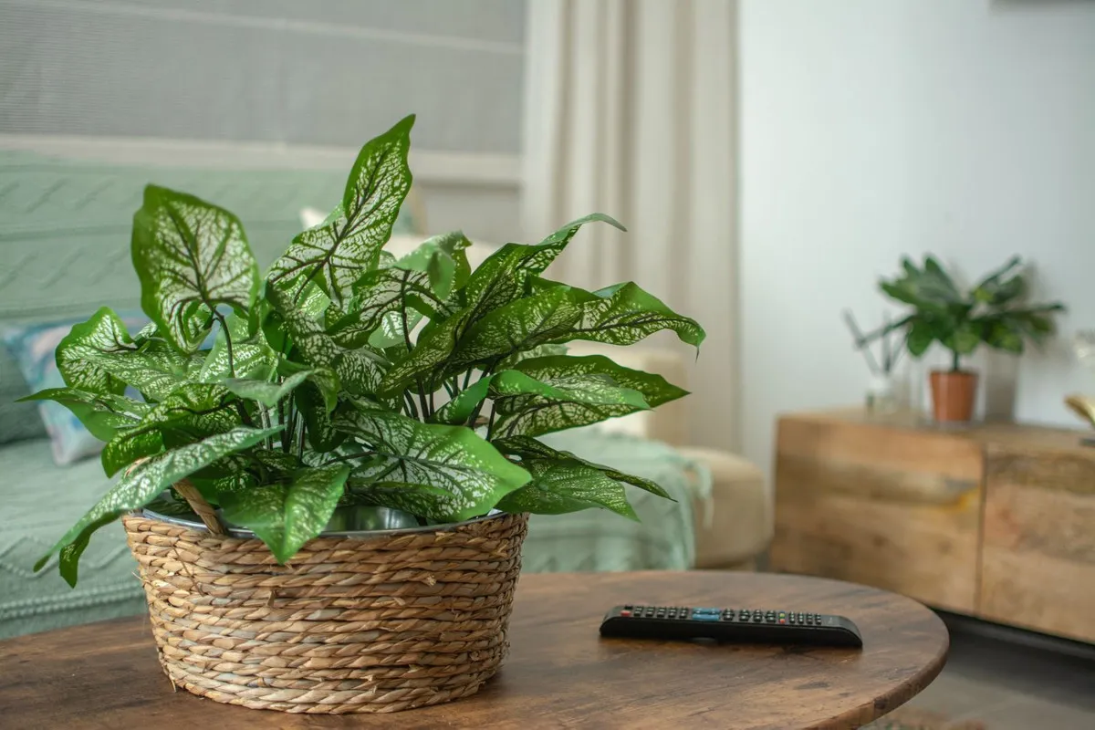 bf853b26-e013-4b46-9602-e04e94e8b9c2