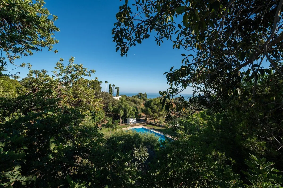 9ad7c096-3224-44a9-b17e-4d5b6ab01ed9