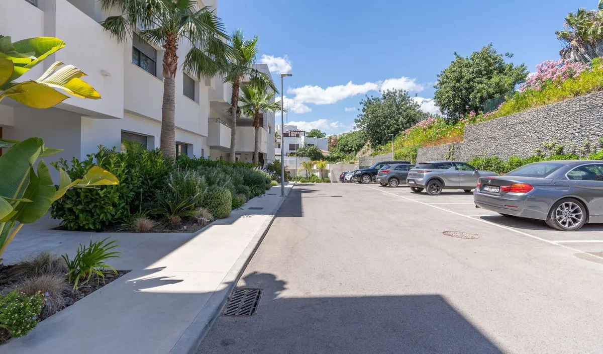 5c7bac31-73cc-442c-8424-7141ba89f75e