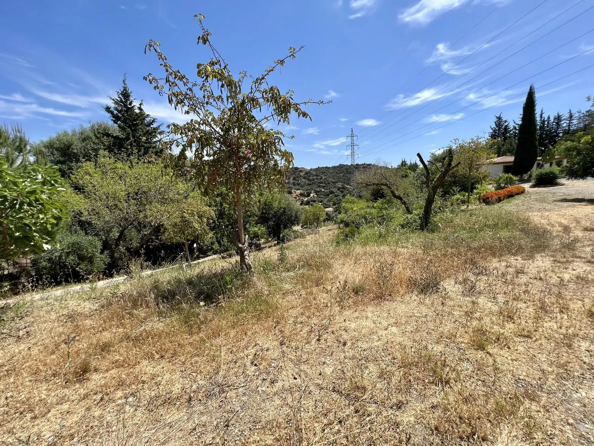 4e4cbb65-17f7-451a-934c-323626853e2a