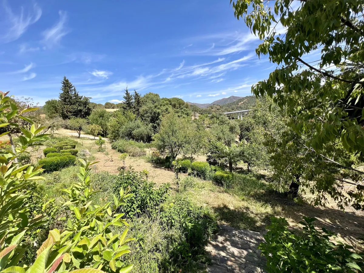 c1c67c99-145a-439d-bd58-9e65761447ff