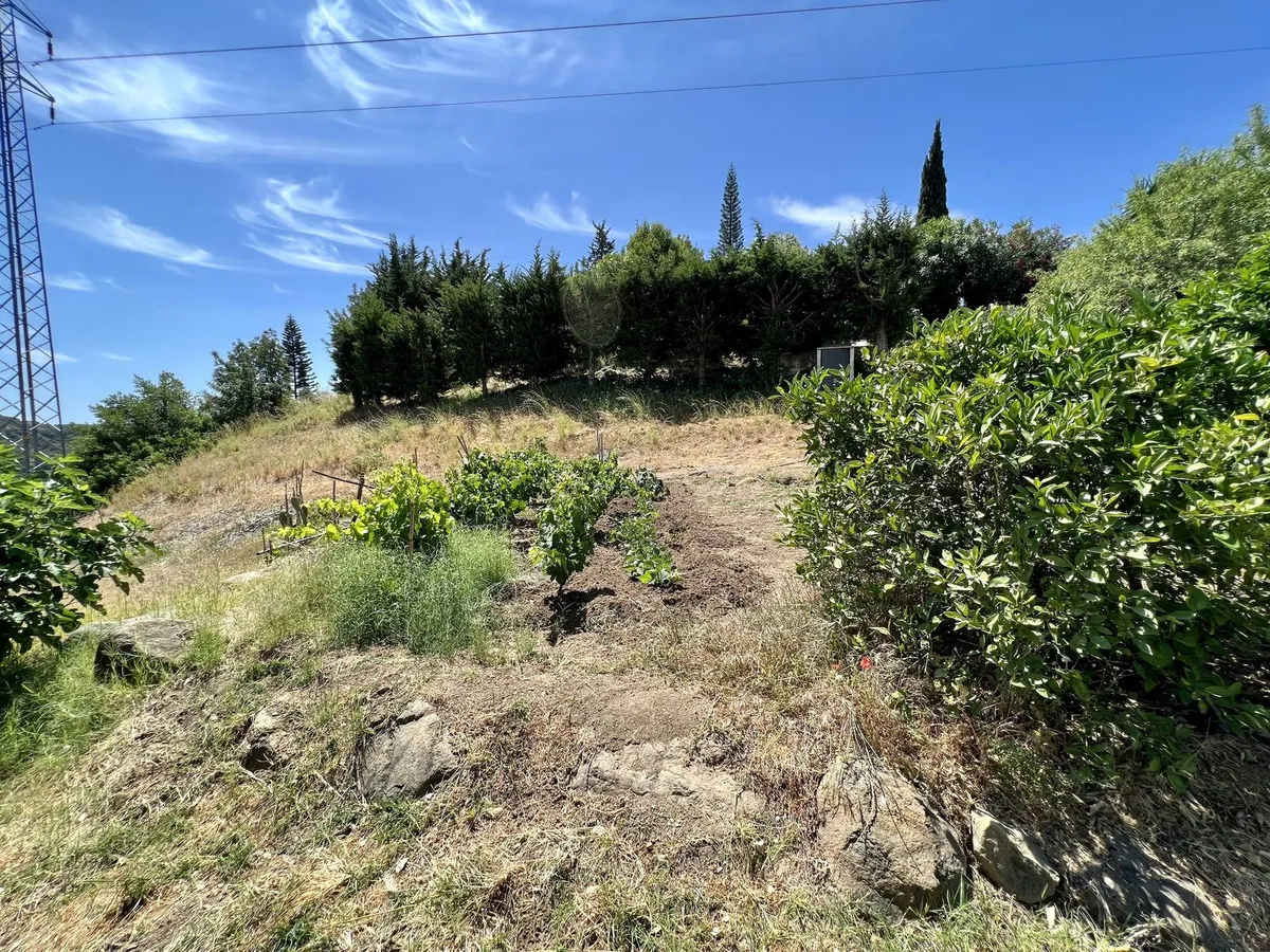 dc77eed9-d78c-4505-9ac3-e975401270c5