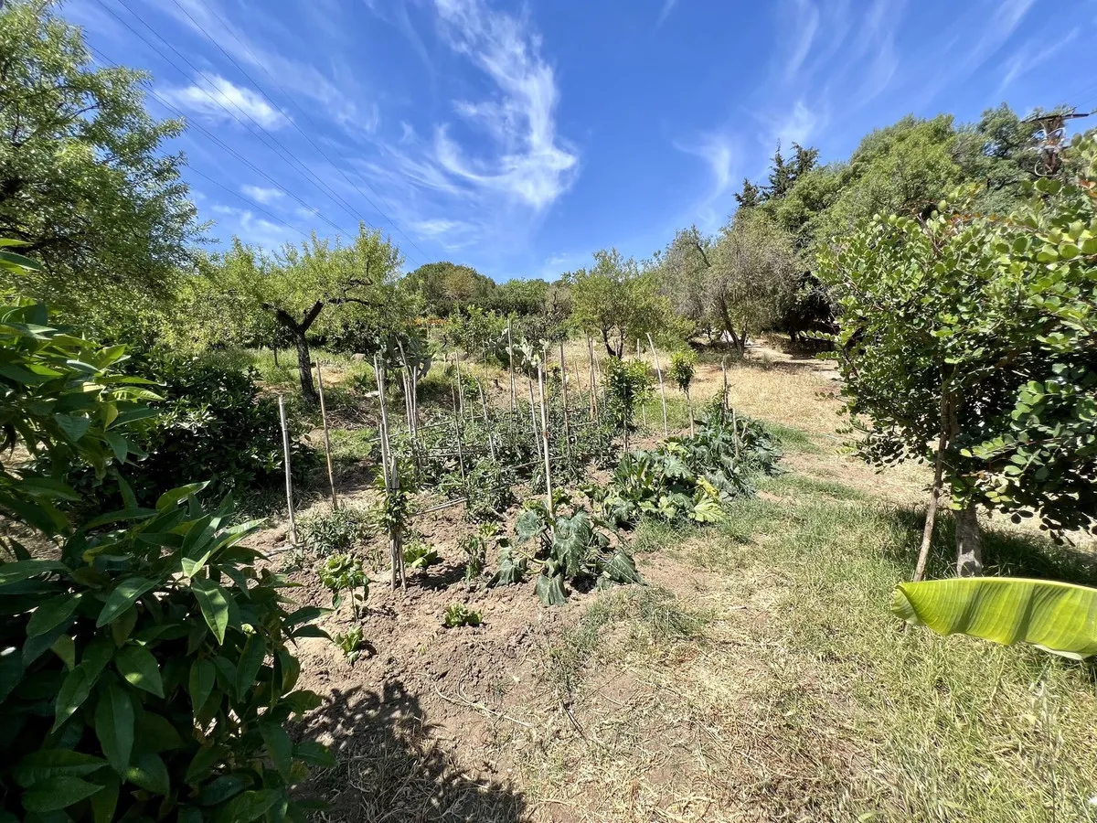 ef1ee88d-9209-4008-afc4-9ab40f363bc6