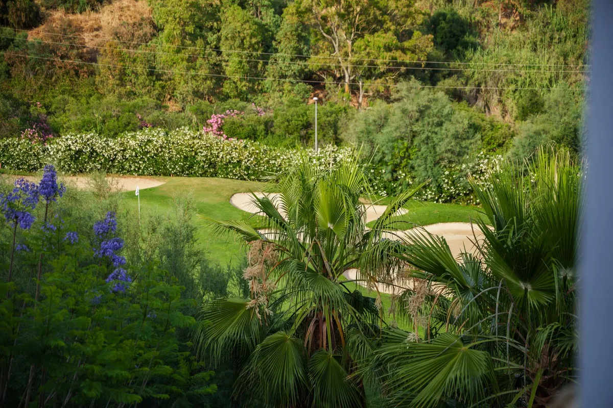 db6a5abc-293f-429e-be63-cd10f1e66944