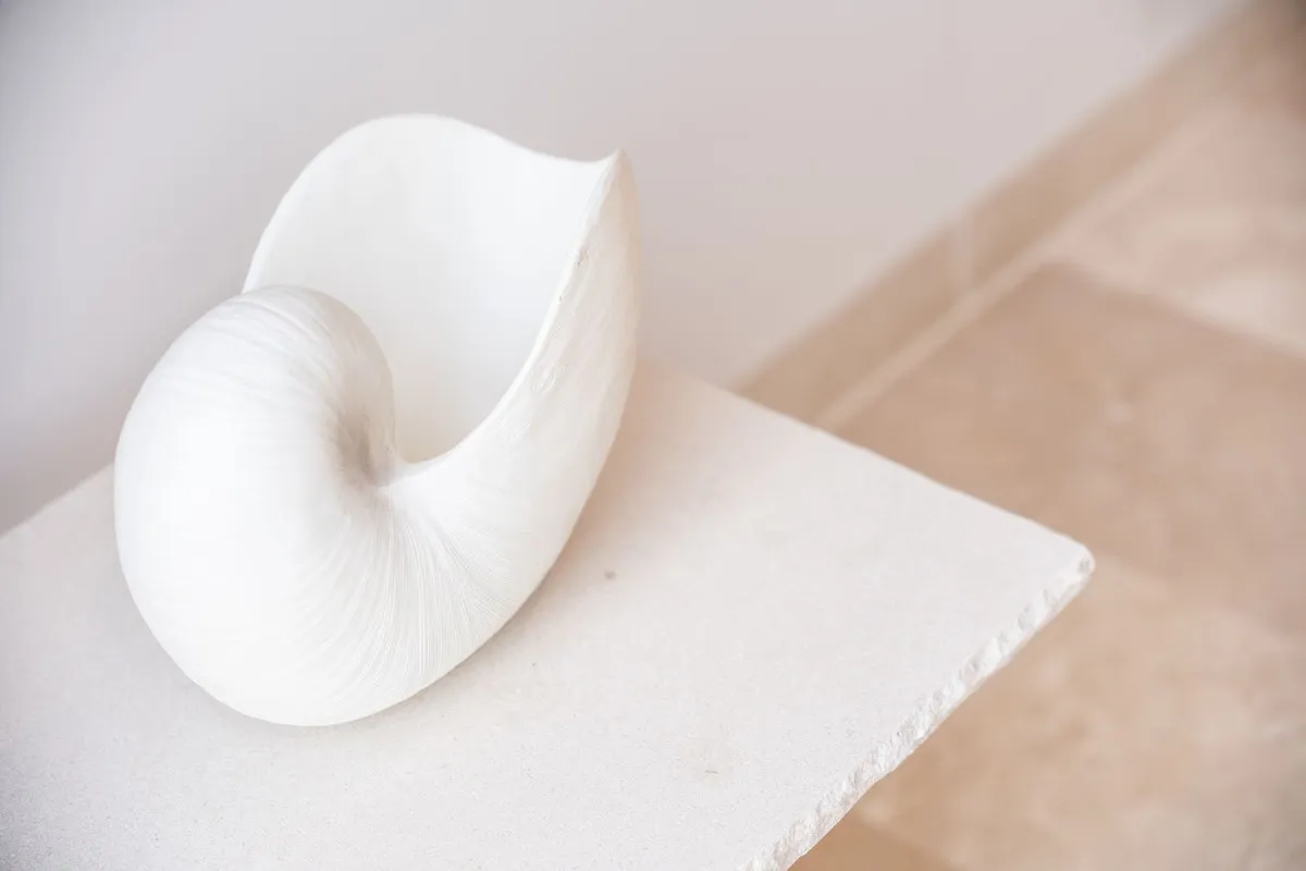 ea50c03e-fb6b-41d8-b48e-f18744c30fa3