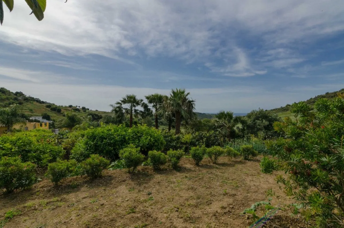 0c60edba-e804-42fa-8632-910a9b6f3903