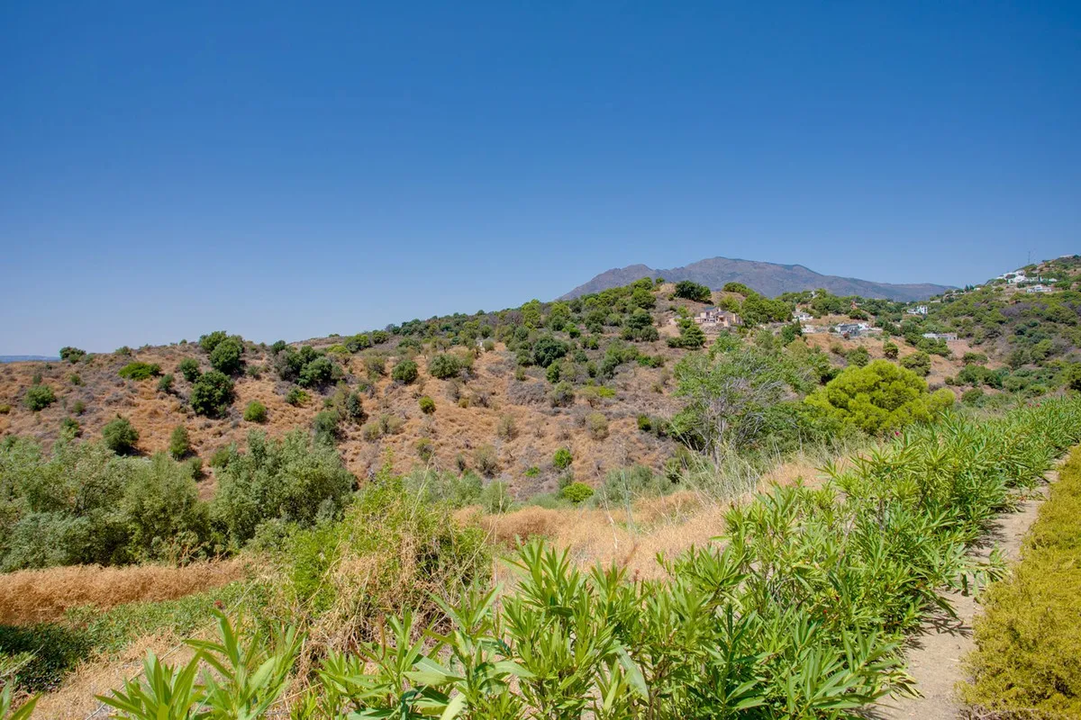 69943520-122b-4cd4-8f2c-d1279c722a3a