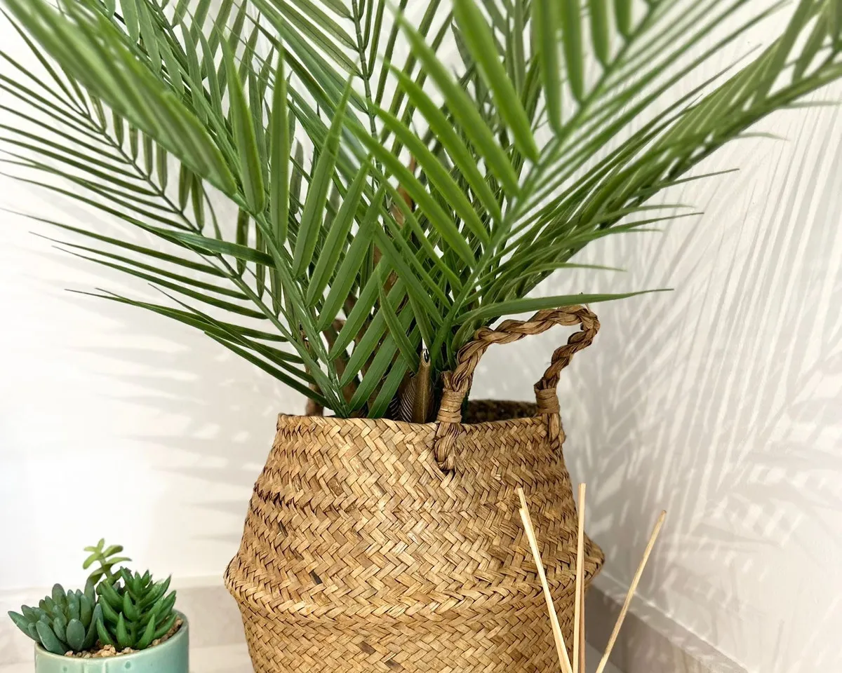 6153e61d-9a6b-4b15-9f87-5e0449a9dd41