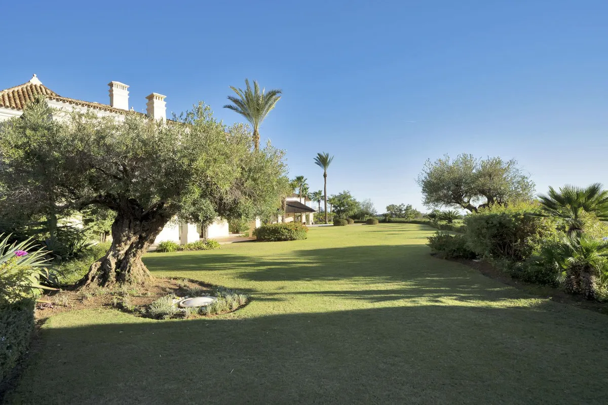 0932d41a-7c08-49eb-82cf-896c0cbc1977