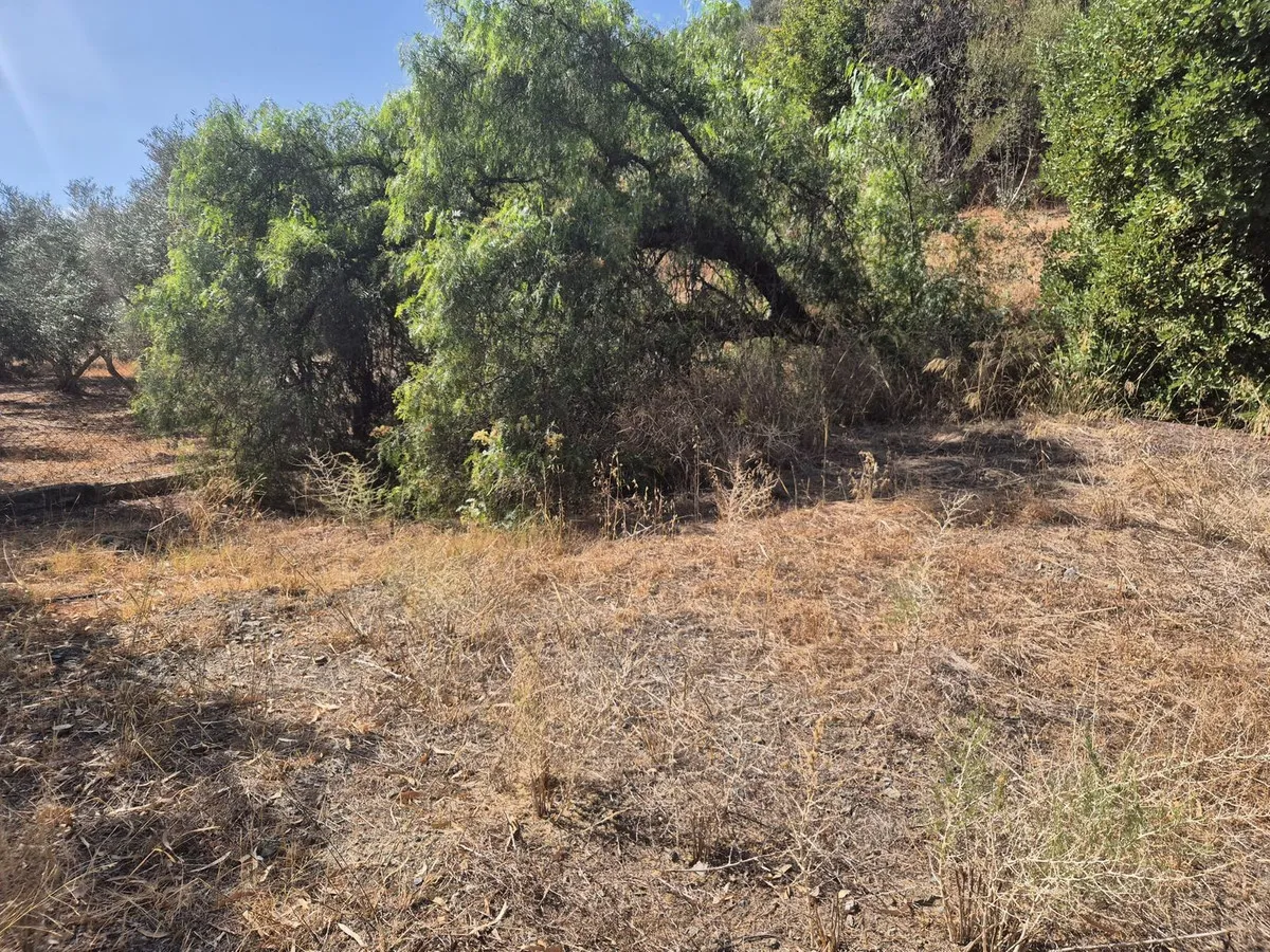 20d3b64b-db87-4422-b889-1e6f1fa72084