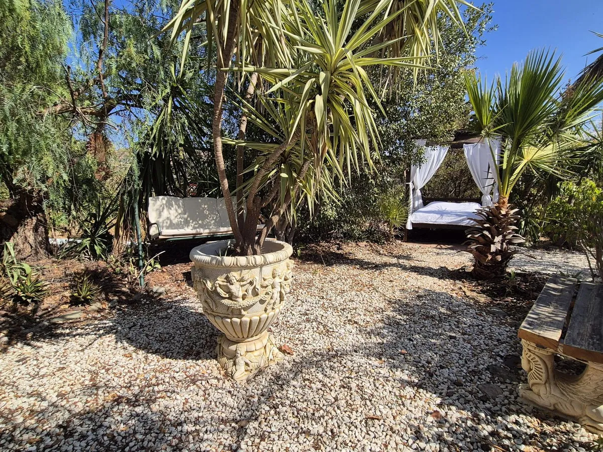 34dedb59-f4c4-401e-bf8c-a7d4de1d8725