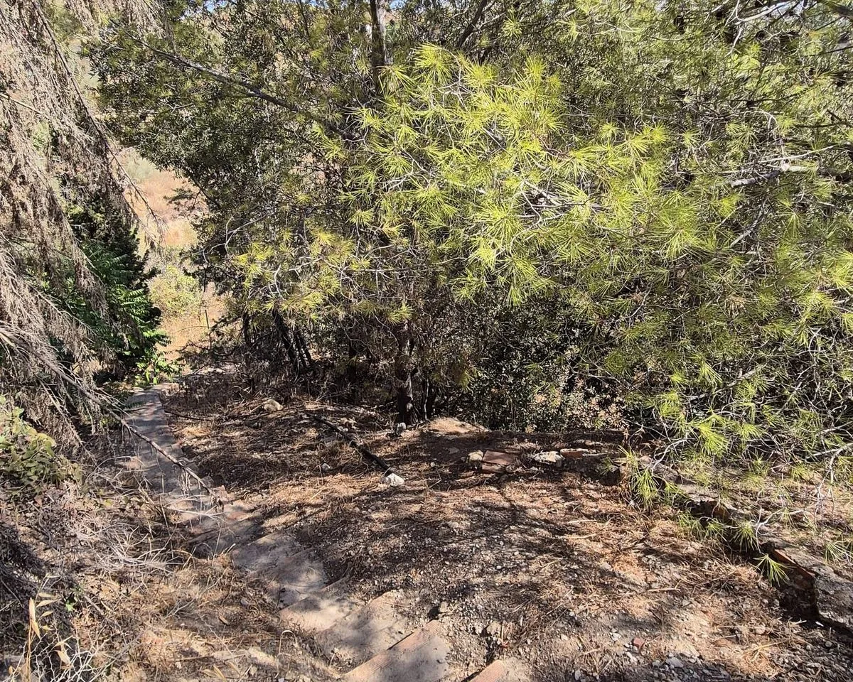 6f5ed395-9e98-4de0-95da-c8657dfbe9b8