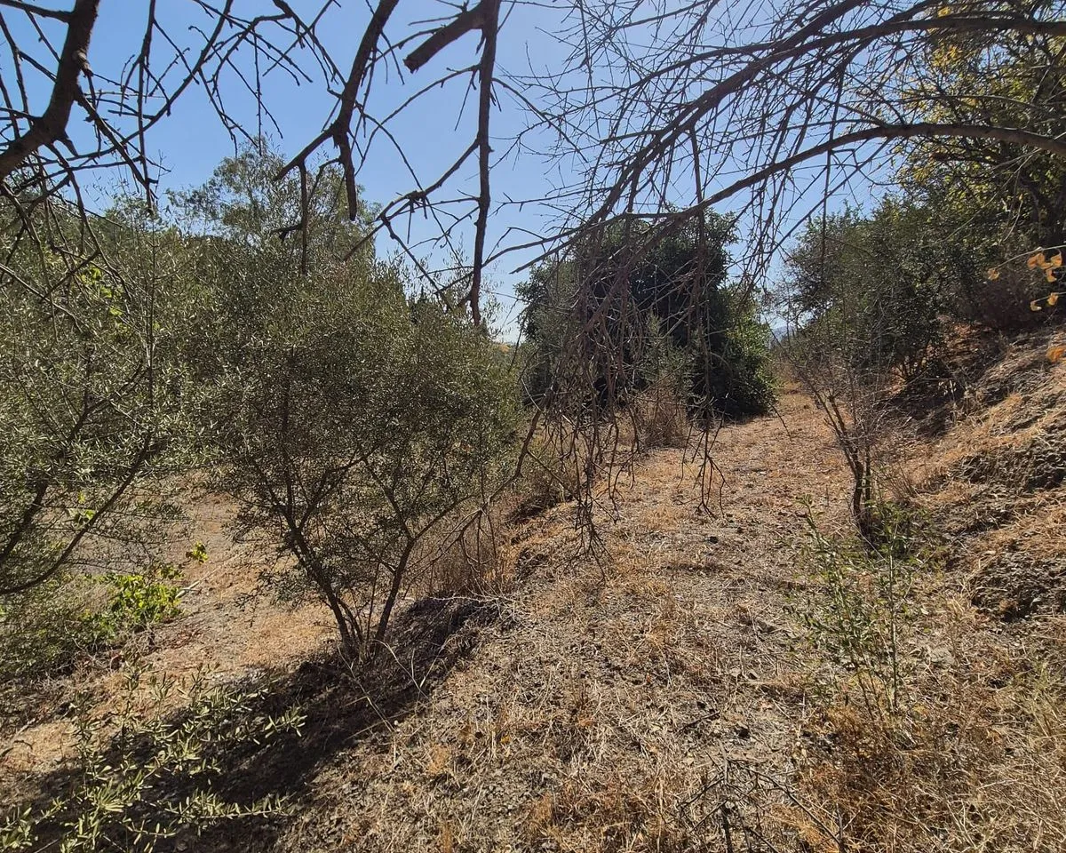 9fef6620-ffda-439d-be0f-d2853548796d