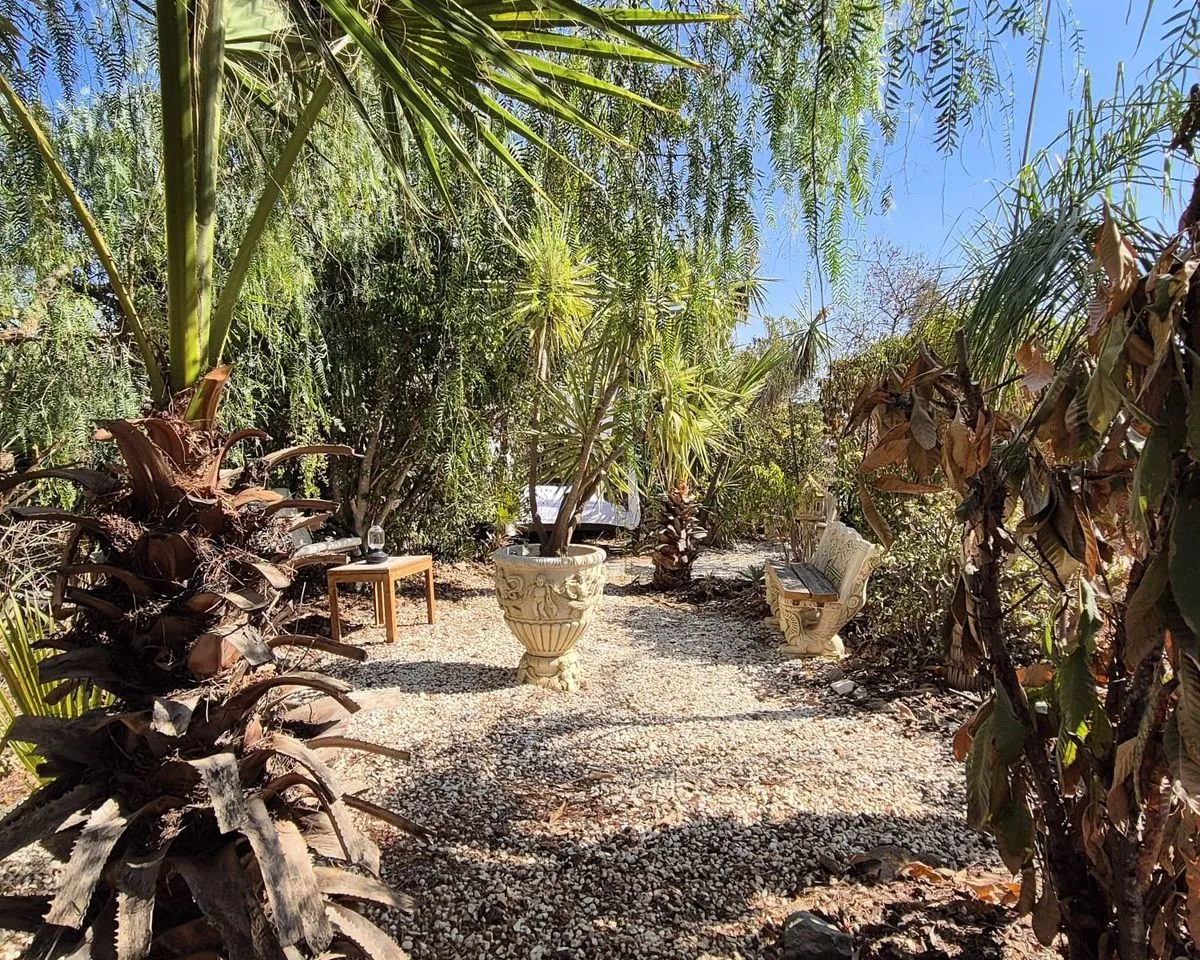 bb51c955-4e80-4c9e-ab26-da50d7ddbd4c