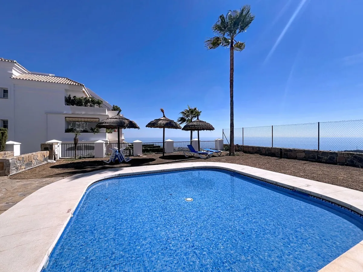 474c1c21-3704-4d78-938b-c87617be351b